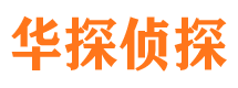 宁城调查事务所